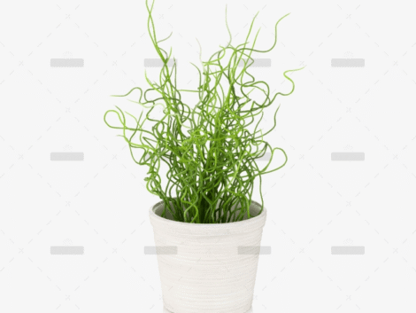 demo-attachment-41-Group-10171