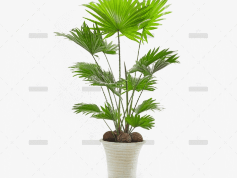 demo-attachment-42-Group-10172