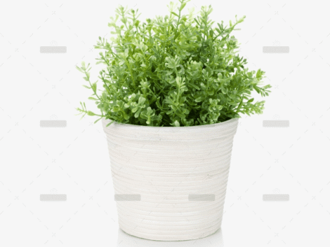 demo-attachment-44-Group-10174