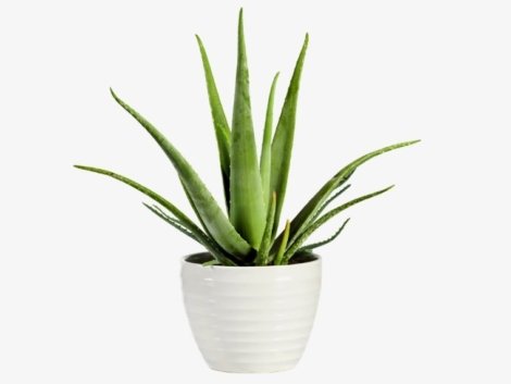 demo-attachment-46-Group-10176