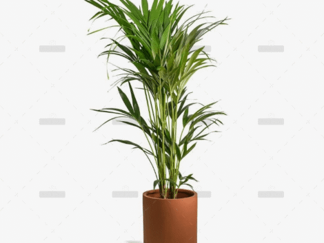 demo-attachment-49-Group-10180